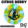 Elevation Discs OG Groundhog