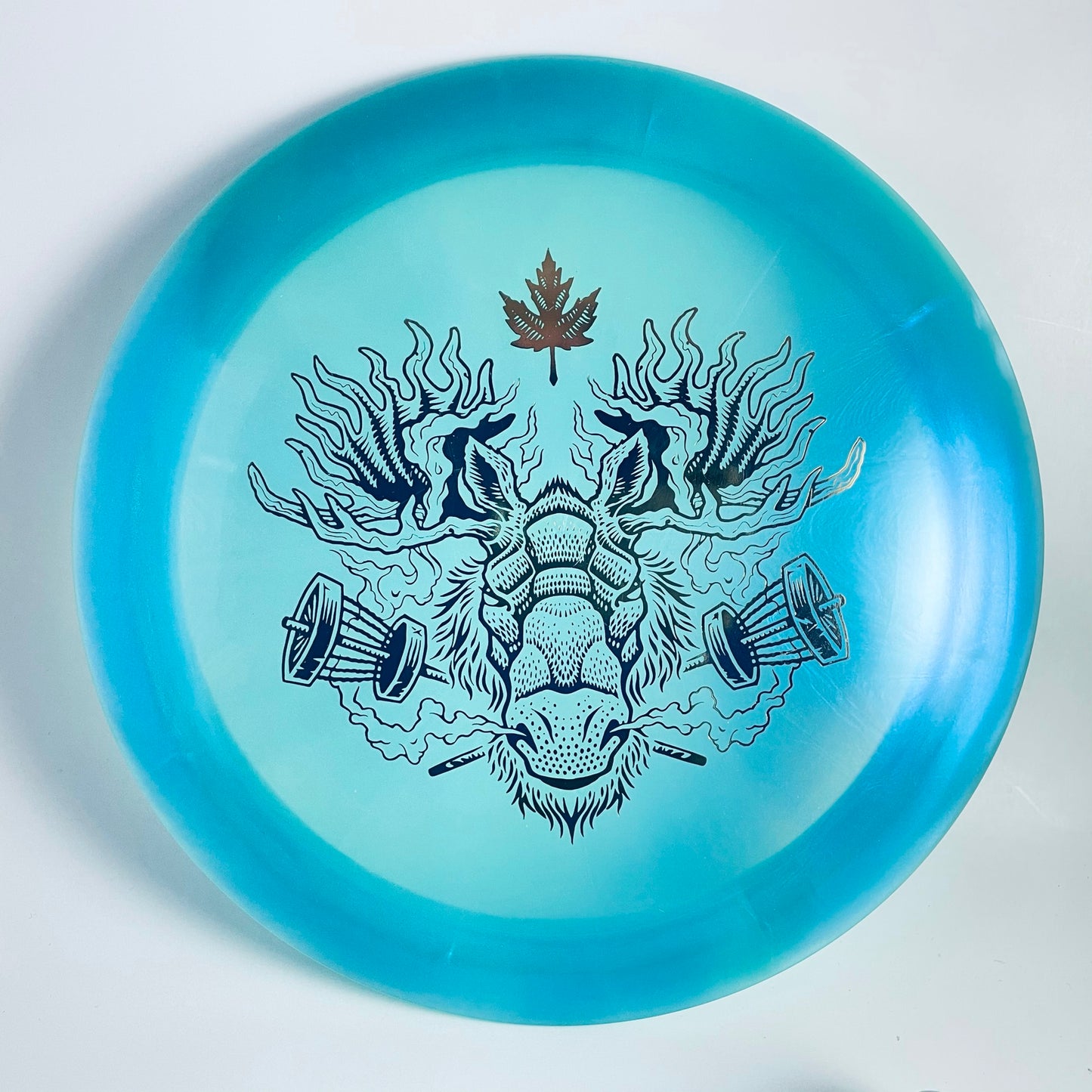 Dynamic Discs Lucid Chameleon Trespass Canadian National