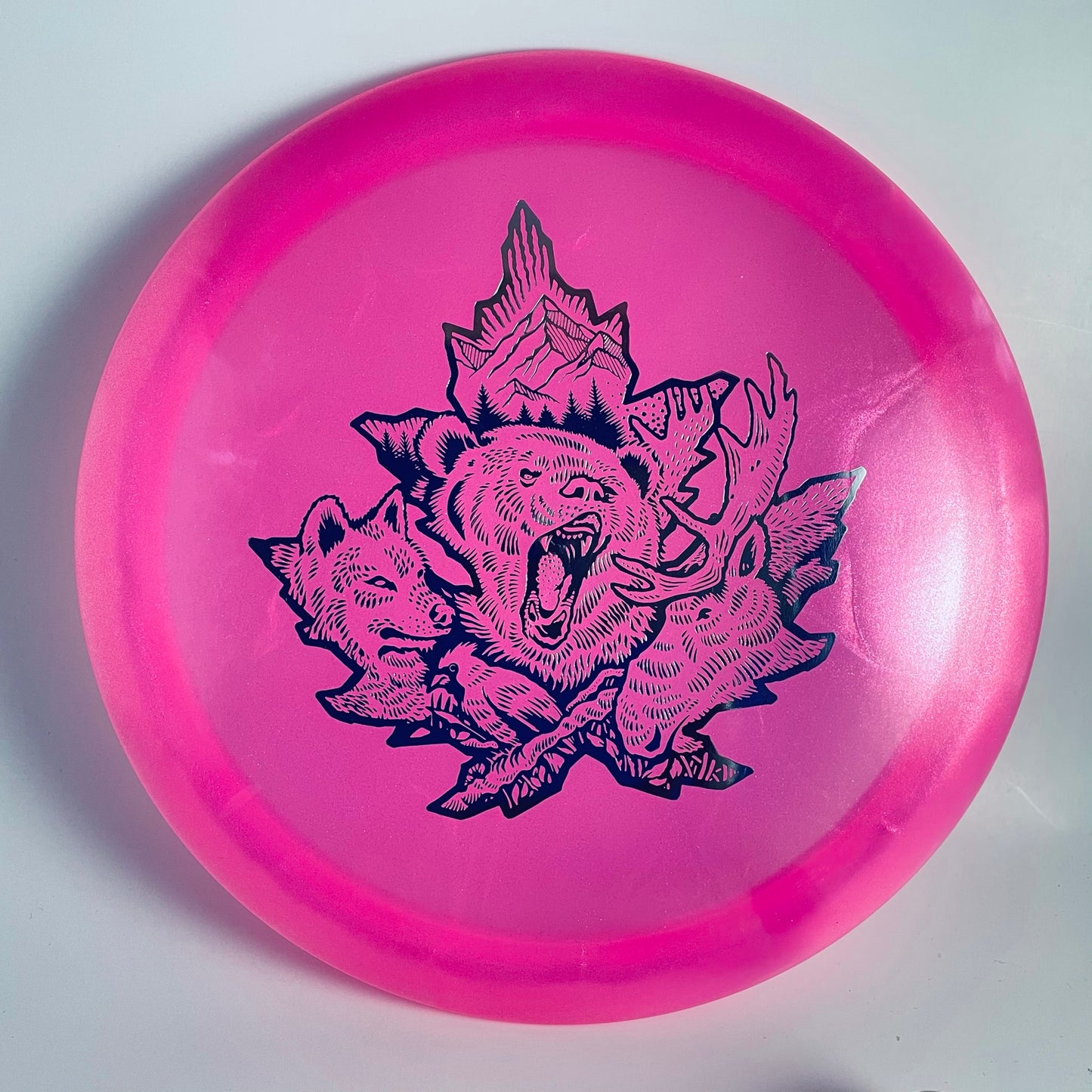 Dynamic Discs Lucid Chameleon Escape Canadian Nationals