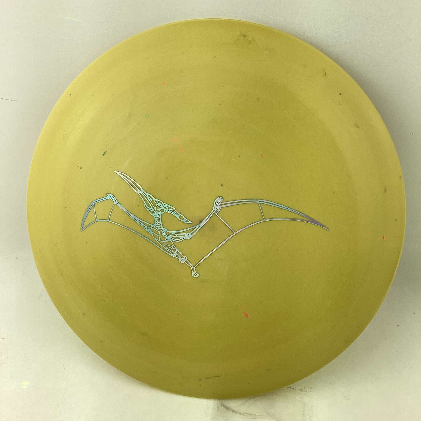 Dino Discs Eggshell Pterodactylus